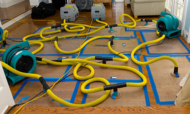 Professional Burst Pipe Water Damage technician working in Beulah, ND